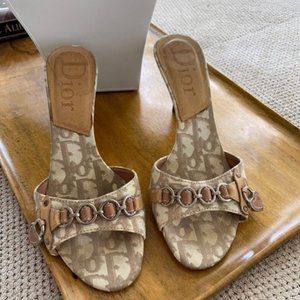 DIOR Canvas Logo Mules